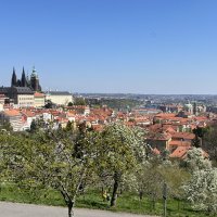 Jarní výlet do Prahy do divadla 2022