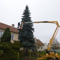 Příprava betlému a vánočního stromu
