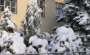 Fotografie z galerie