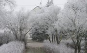 Fotografie z galerie