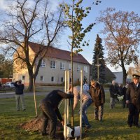 Sázení lípy ke 100. výročí Československa