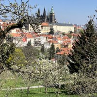 Jarní výlet do Prahy do divadla 2022